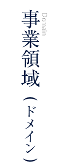 事業領域 (ドメイン)